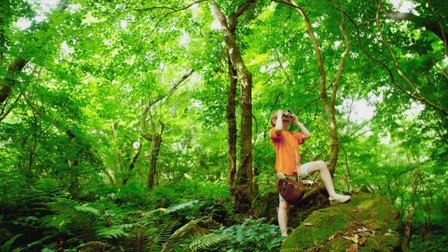 COLOR JEU - Colorful Adventure