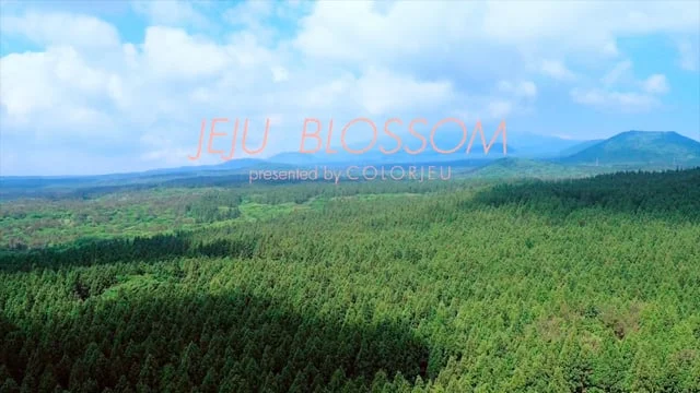 JEJU Blossom teaser