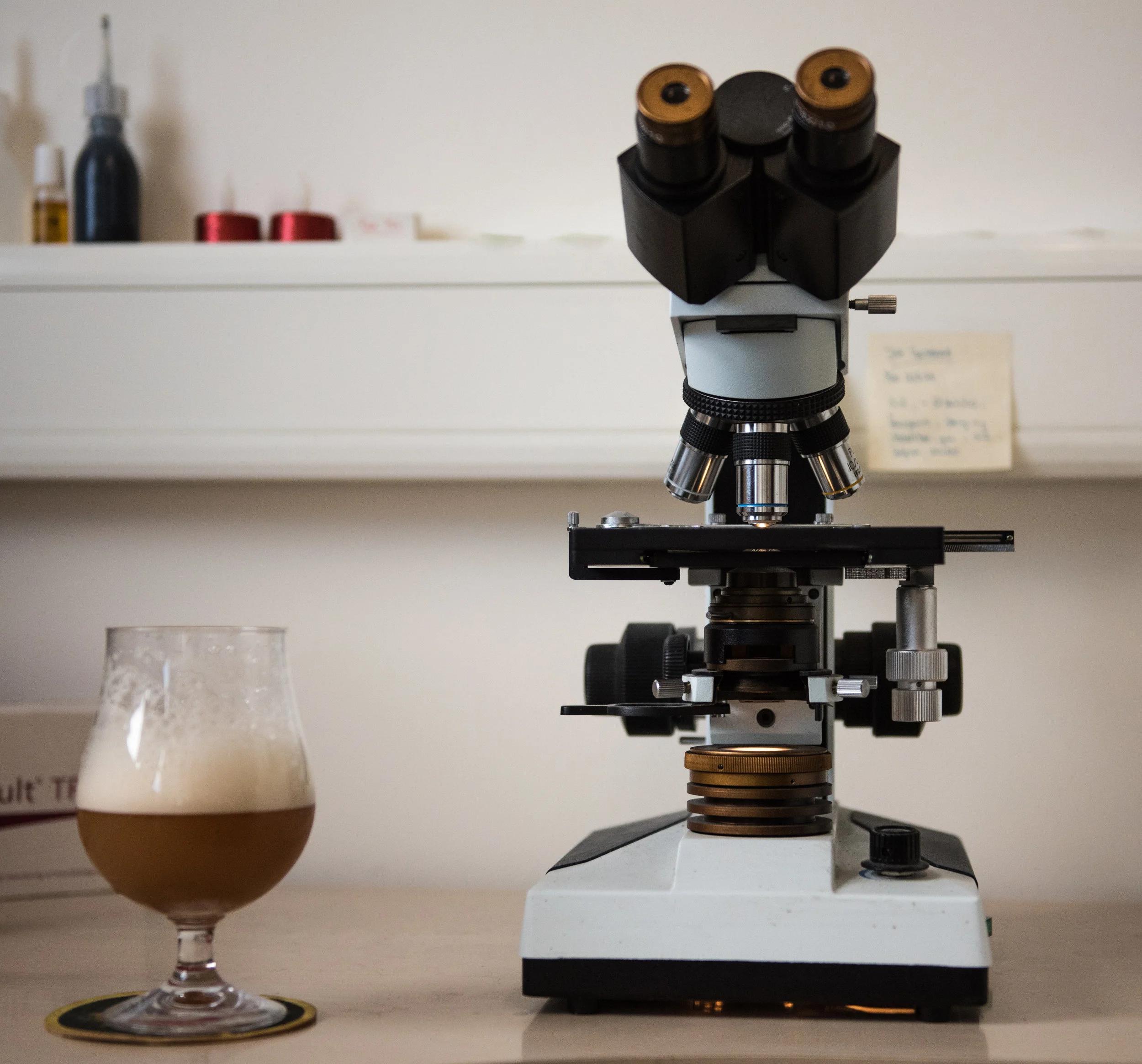 Beer brewing chemistry.jpg