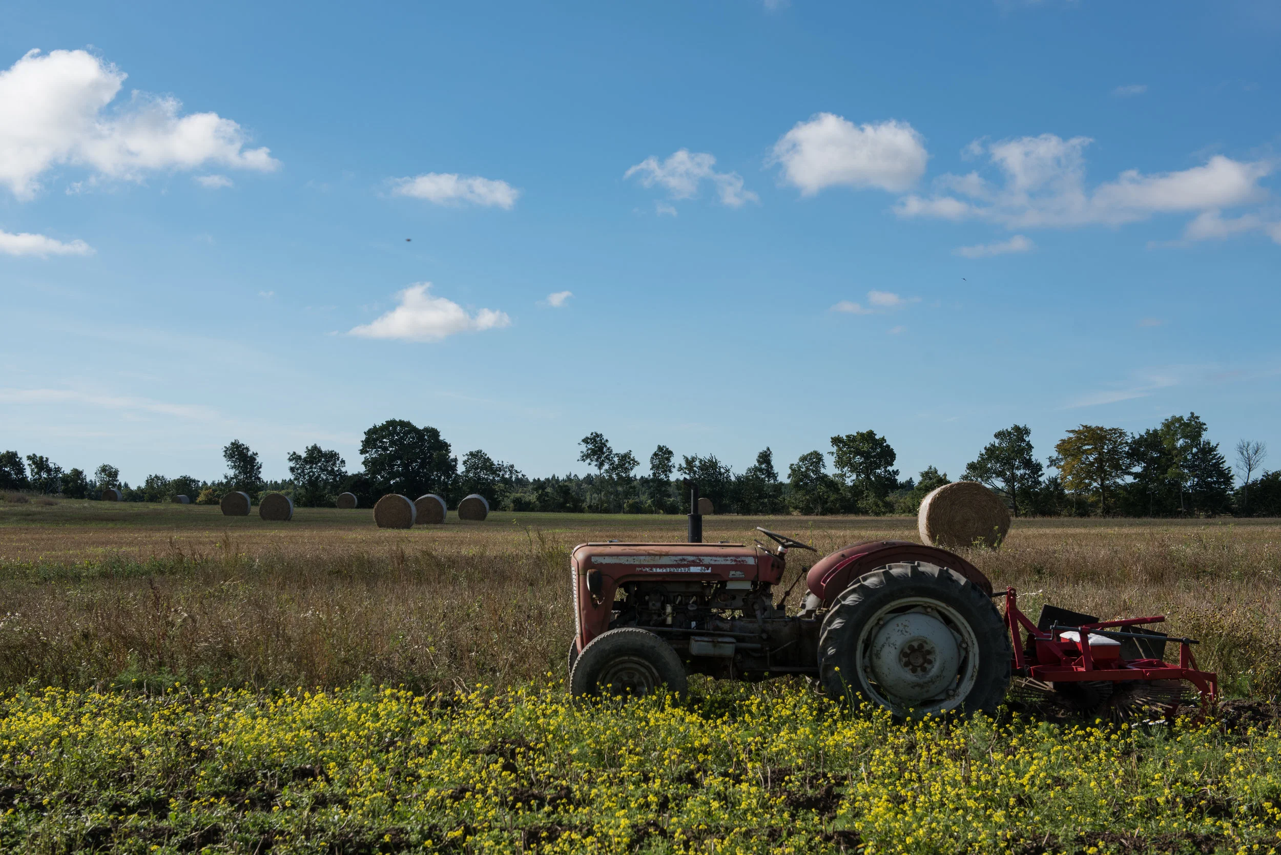Hallegaard Garbutik Farm