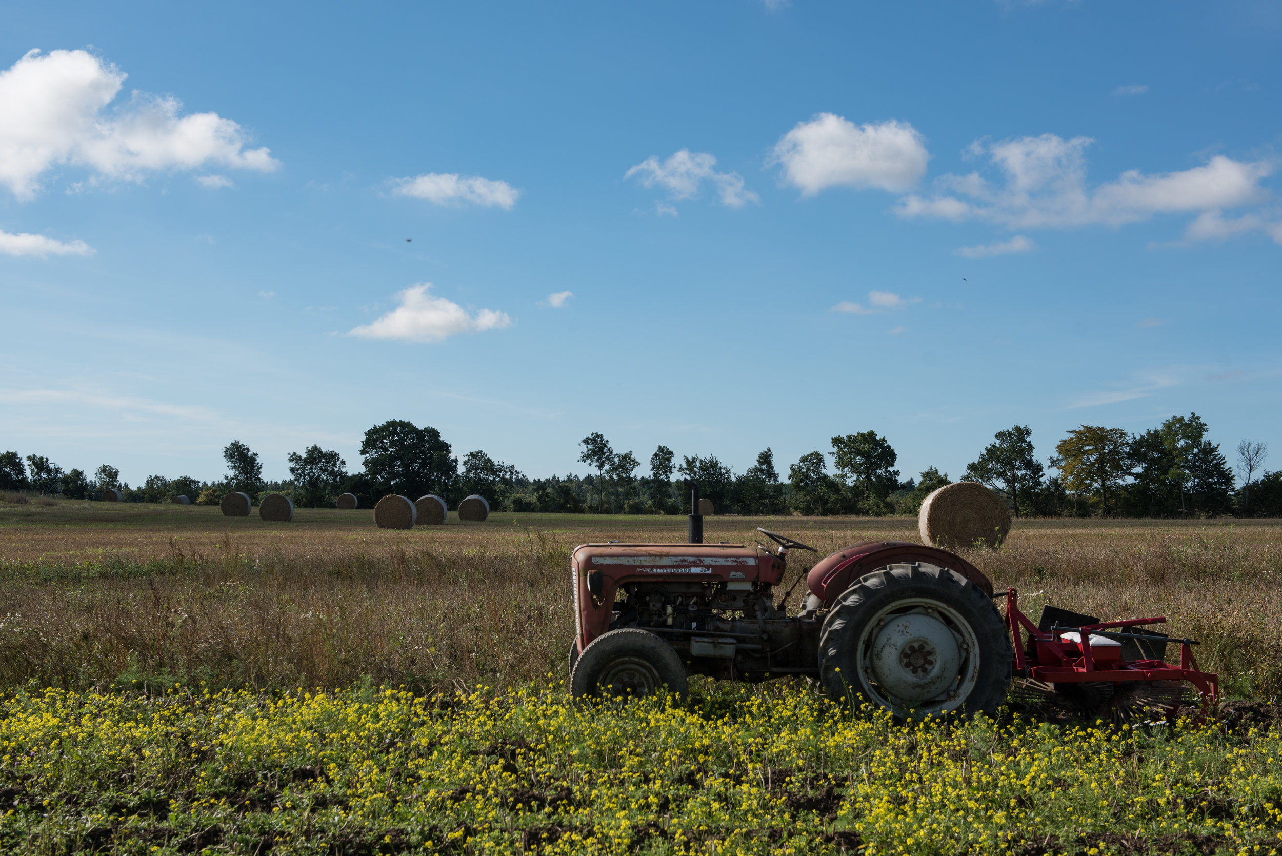 Hallegaard Farm Tractor.jpg