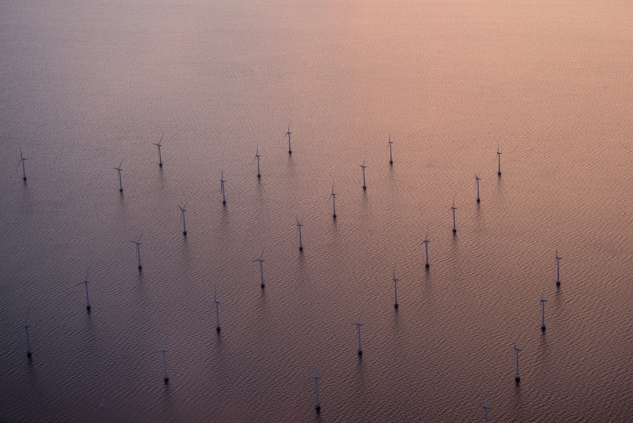 Landing in Copenhagen- Windmill Farm.jpg