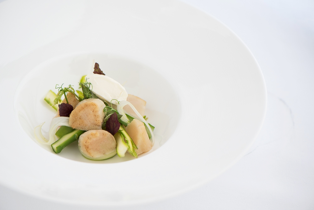 Scallops