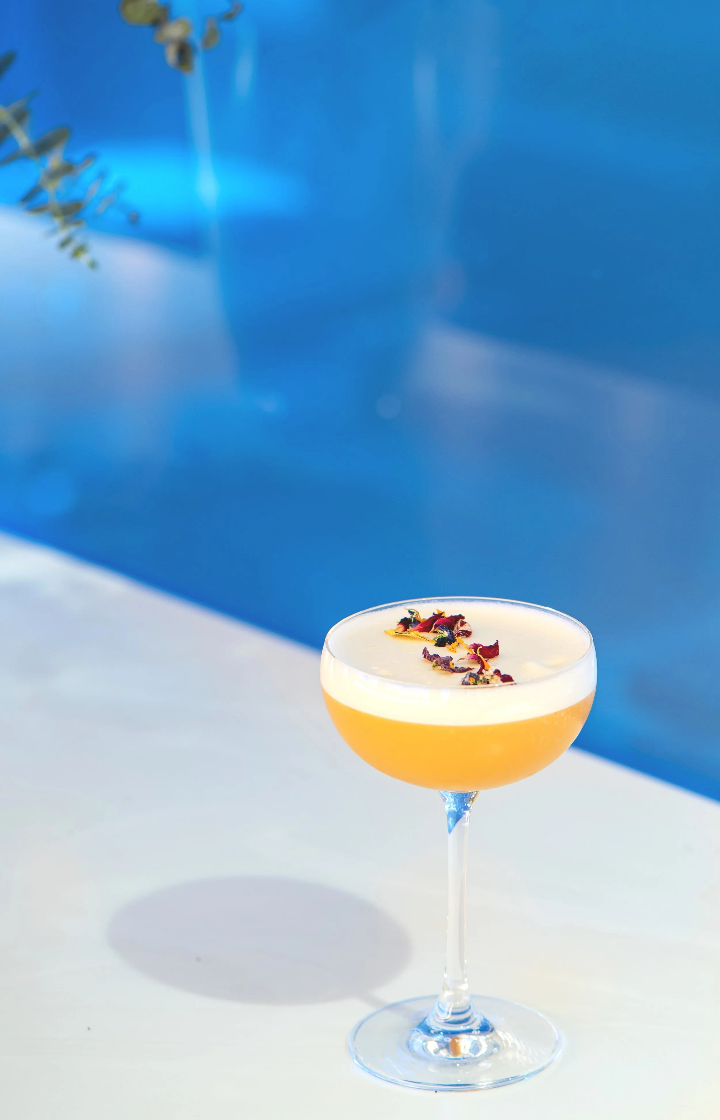 Yauatcha Soho Lemonberry Martini