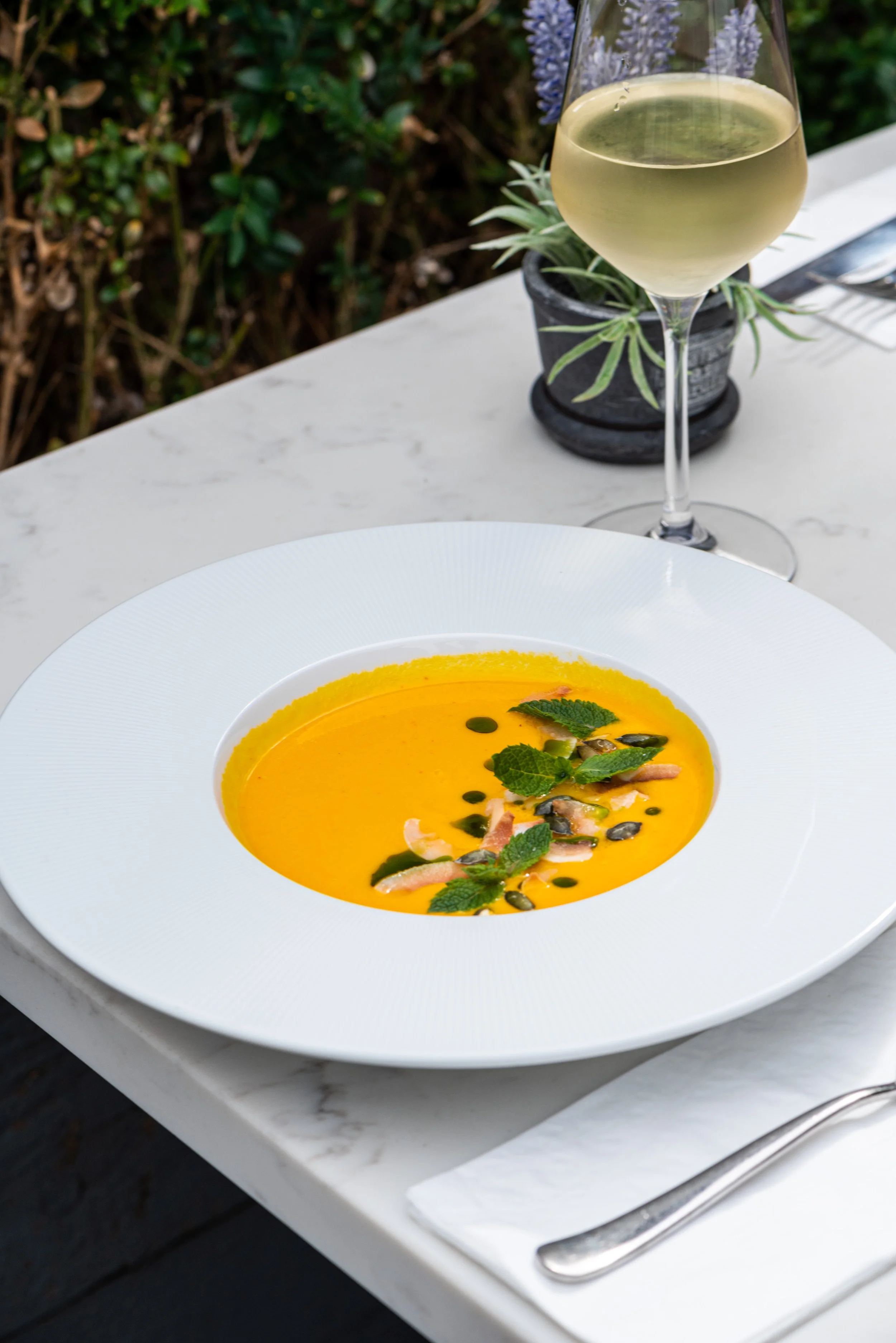 Pumpkin Soup