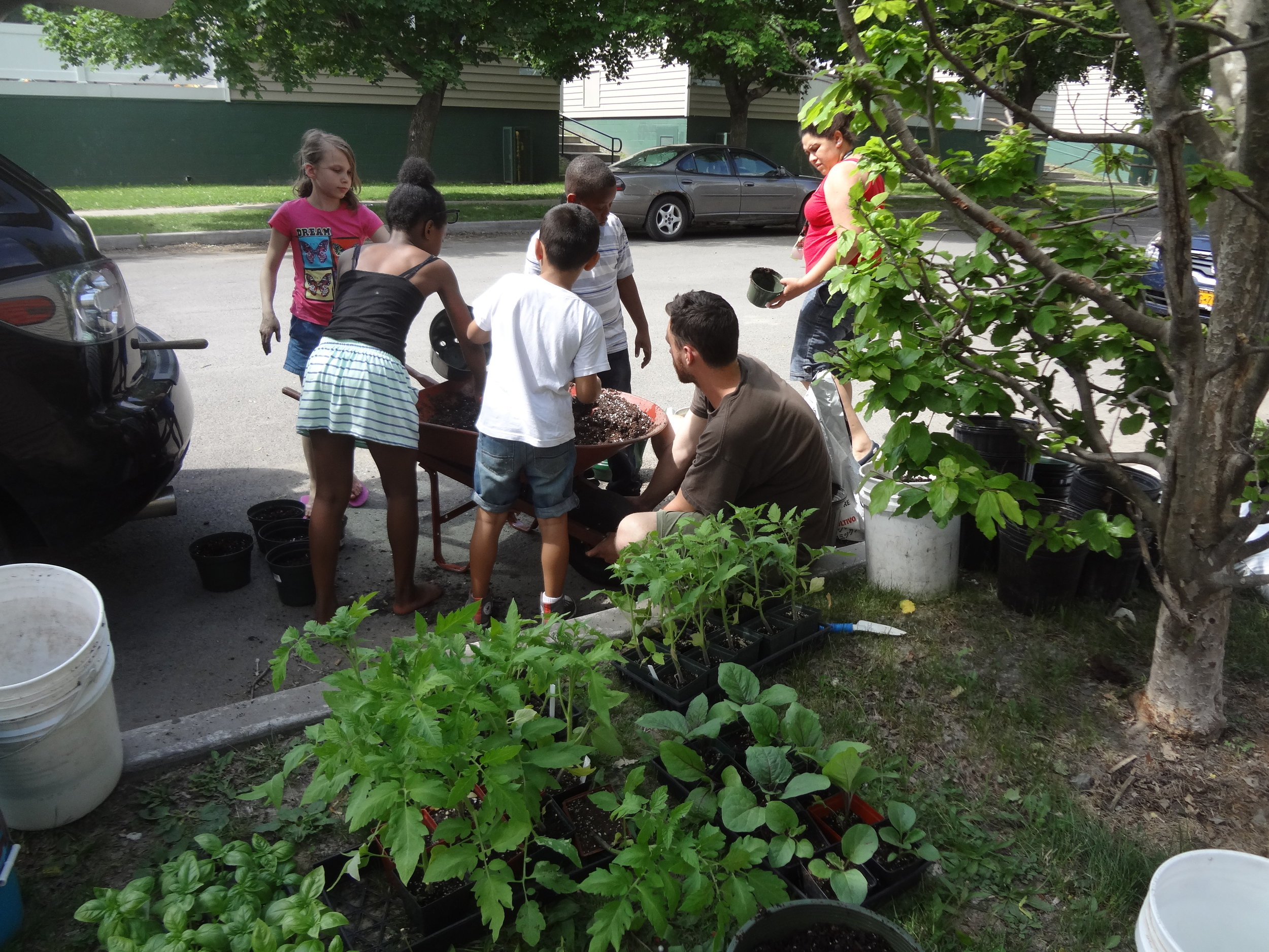 Young gardeners-in-training helping out at a community gardening event. Picture: Chrys Gardener.