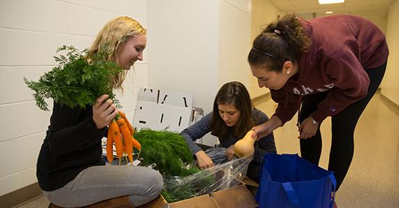Cornell CSA drop-off. Picture: Cornell Pawprint, 2015.