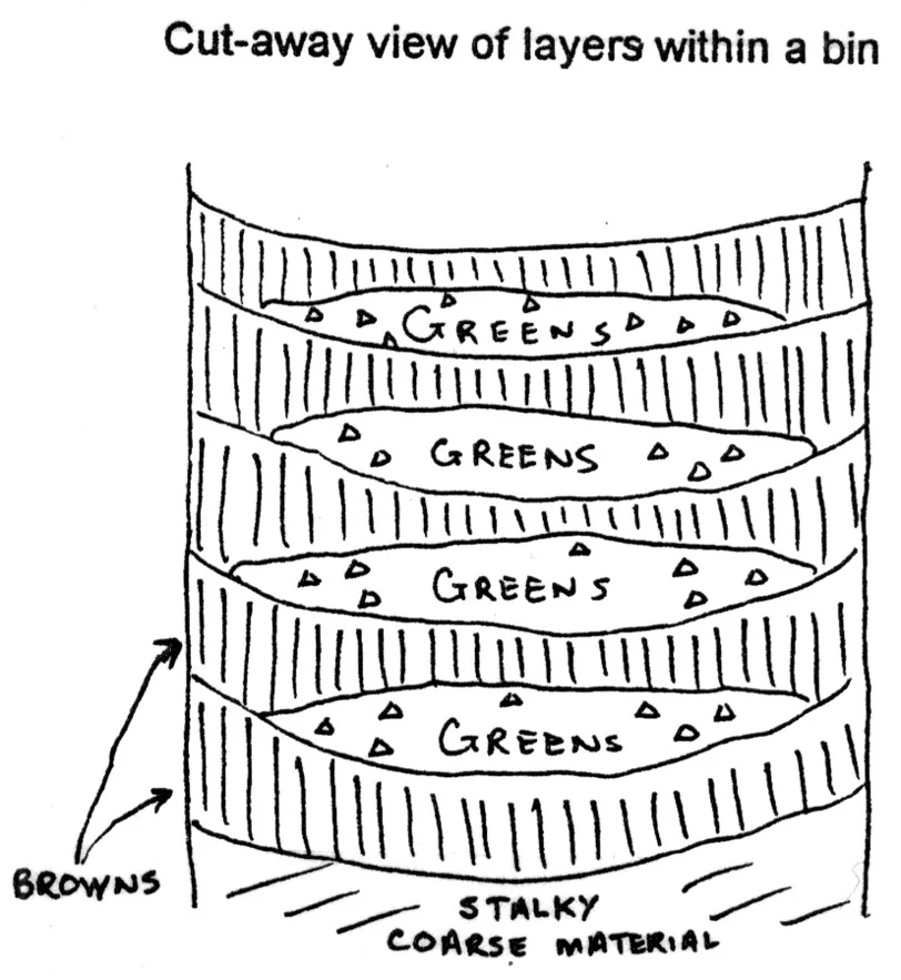 What your bin should look like when lasagna layering. Image courtesy of the Compost Education Program at CCETC. 
