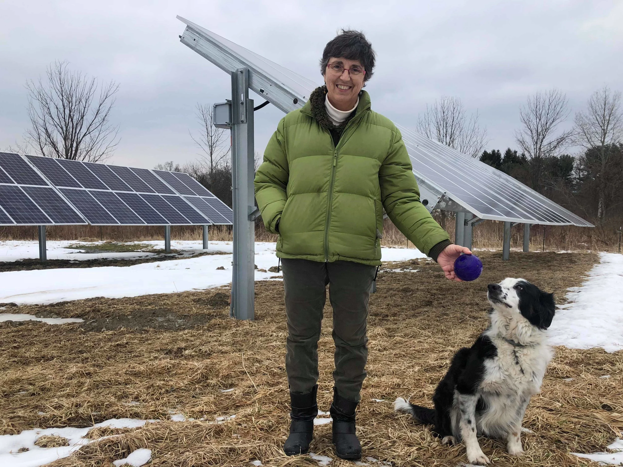 Local Farmer Gets Boost from Sun on Path Towards Net-Zero