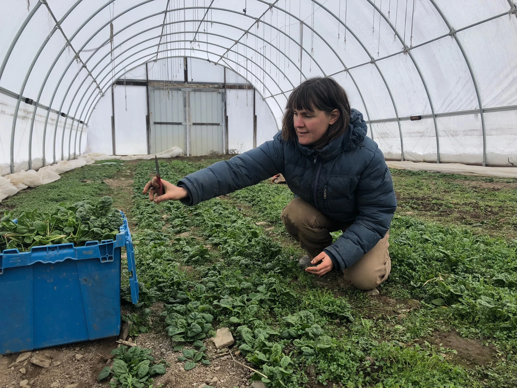 What’s On Your Plate? Full Plate Farm CSA Feeds &amp; Serves Community