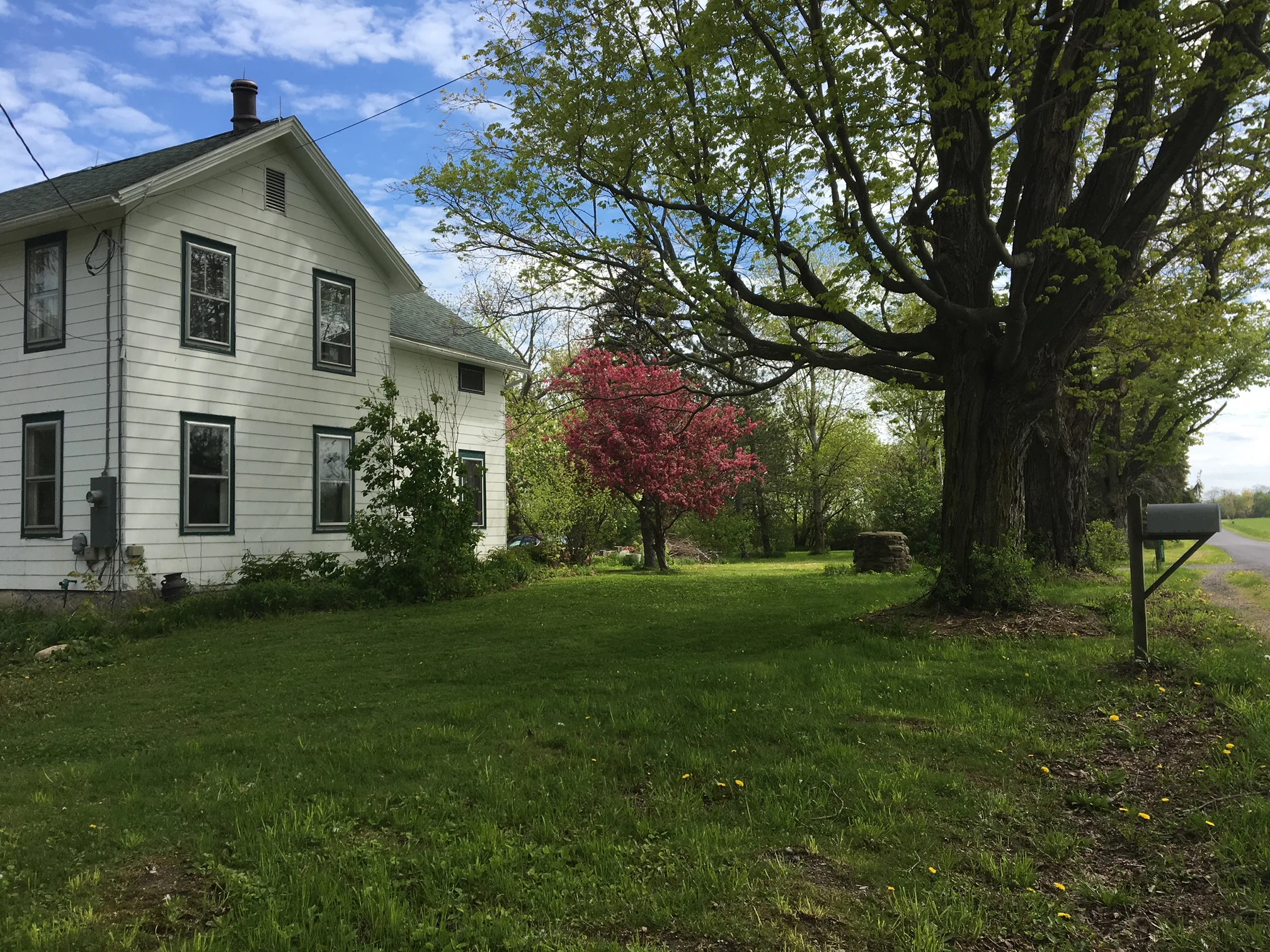 Marianne and Laura's Story: Cutting Energy Bill in Half &amp; Having More People Over For Dinner