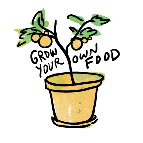 grow-your-own-food.png