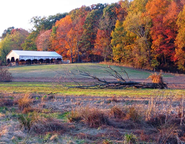 Loudoun County Wetlands Bank, Phase II - Loudoun County, VA