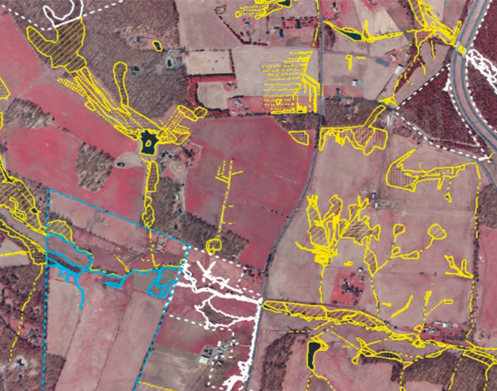 Color infrared imagery with surveyed and photo-interpreted wetlands