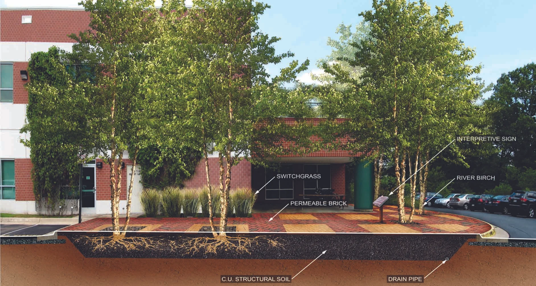 Rendering of potential patio design highlighting the use of permeable pavement and C.U. Structural Soil at WSSI's LEED Gold-certified office in Gainesville, VA.