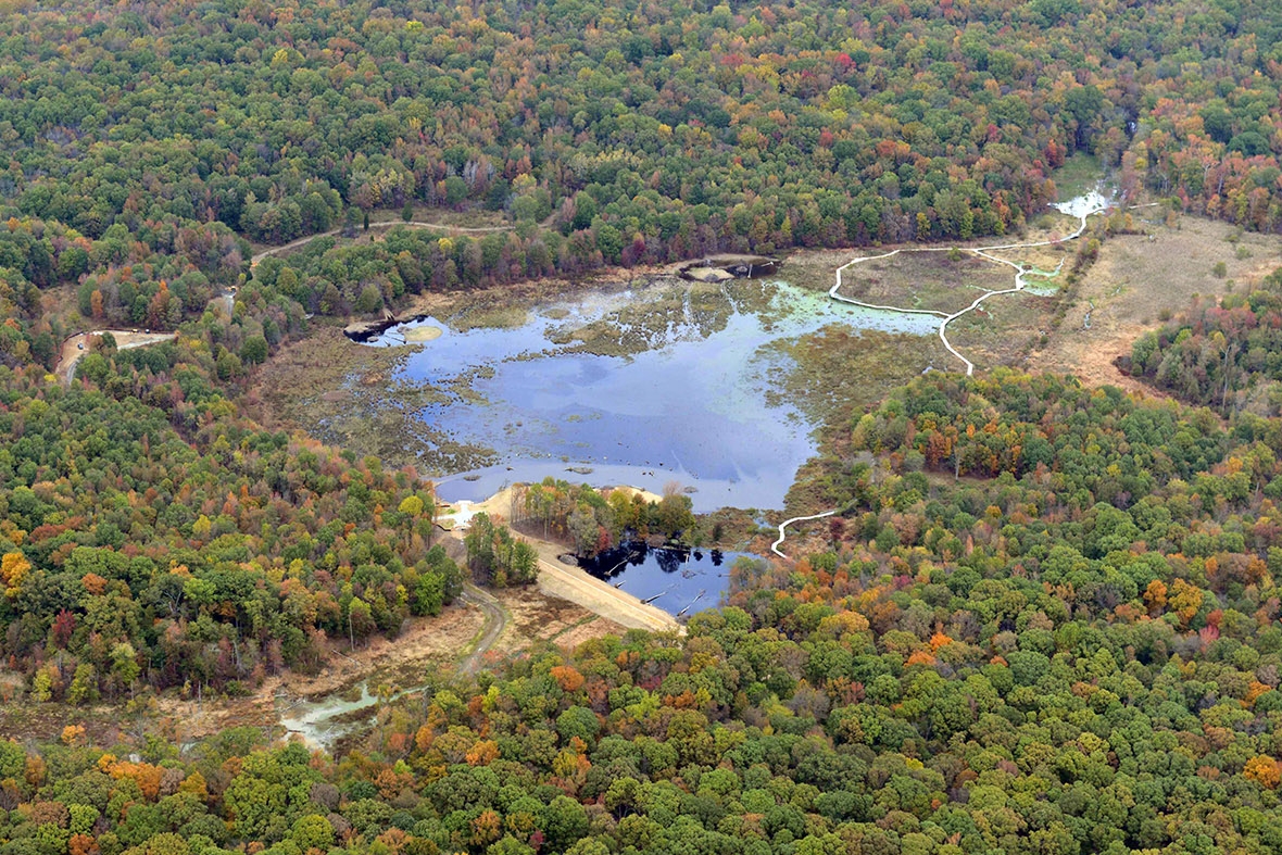   Huntley Meadows Wetland Restoration  Fairfax County, Virginia 