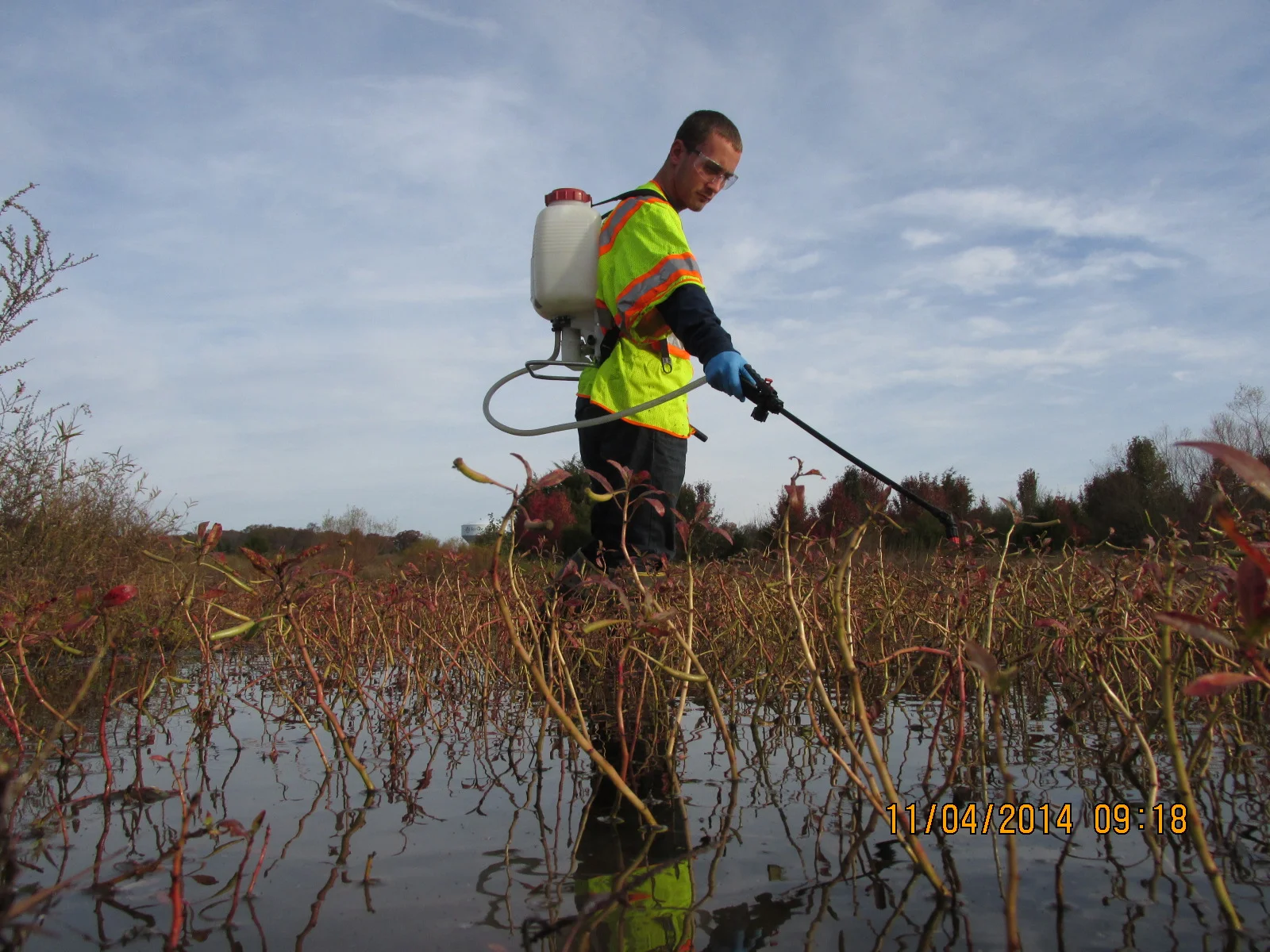 Invasive Species Control