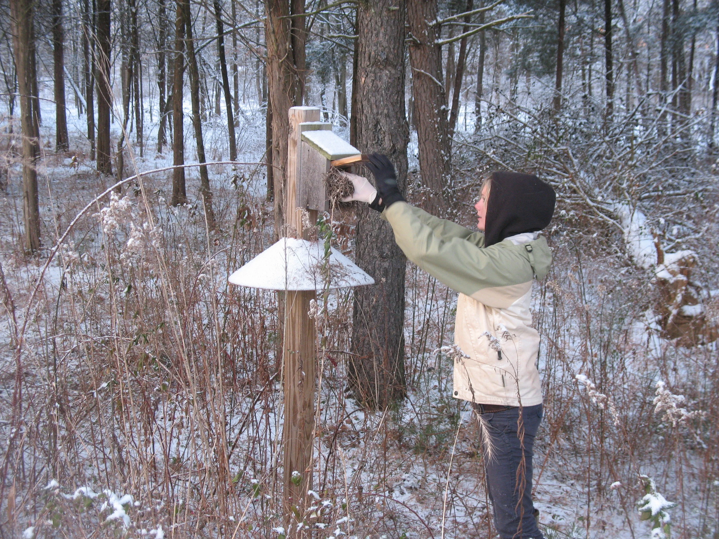 Wildlife Habitat Enhancement