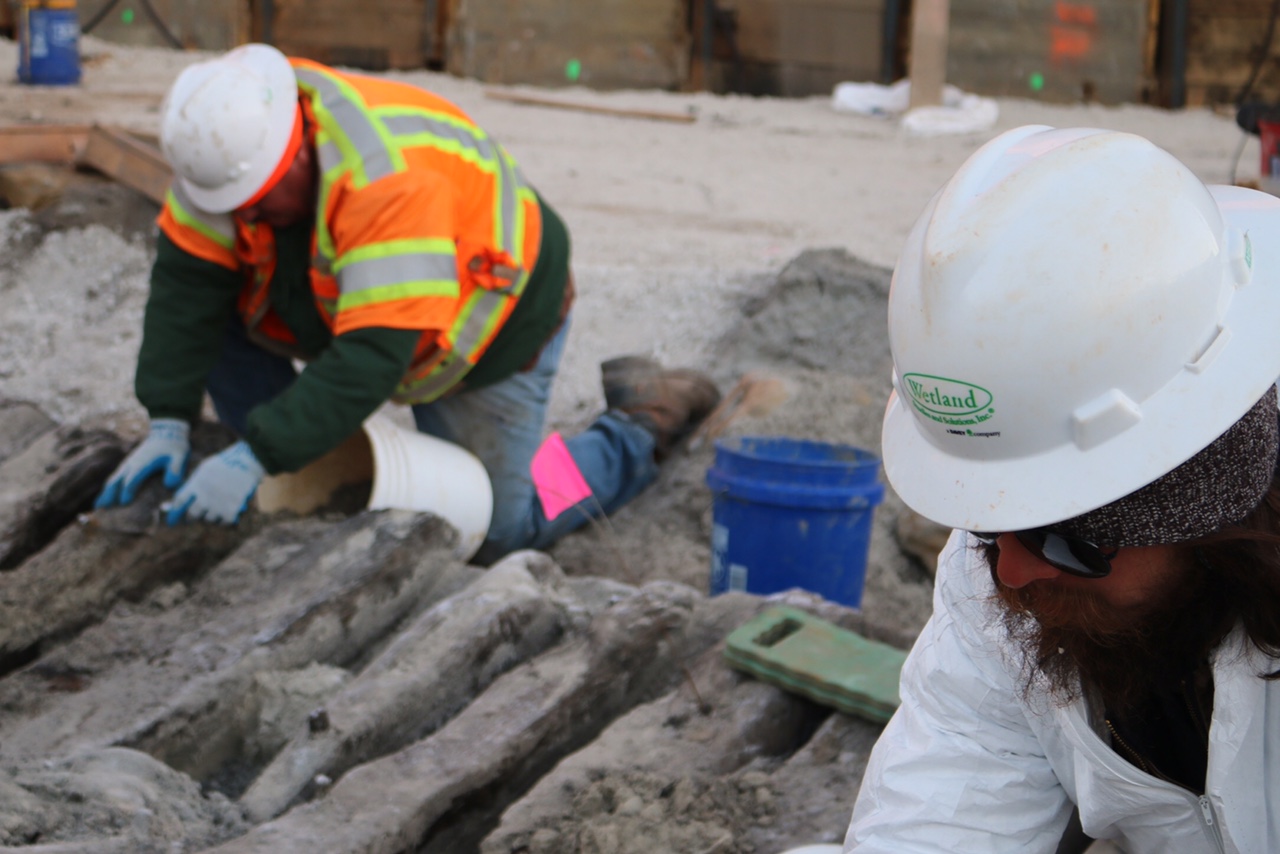   WSSI archeologists Daniel Osborne and Daniel Baicy hand excavate the timbers of the 18th-century ship’s hull.    
