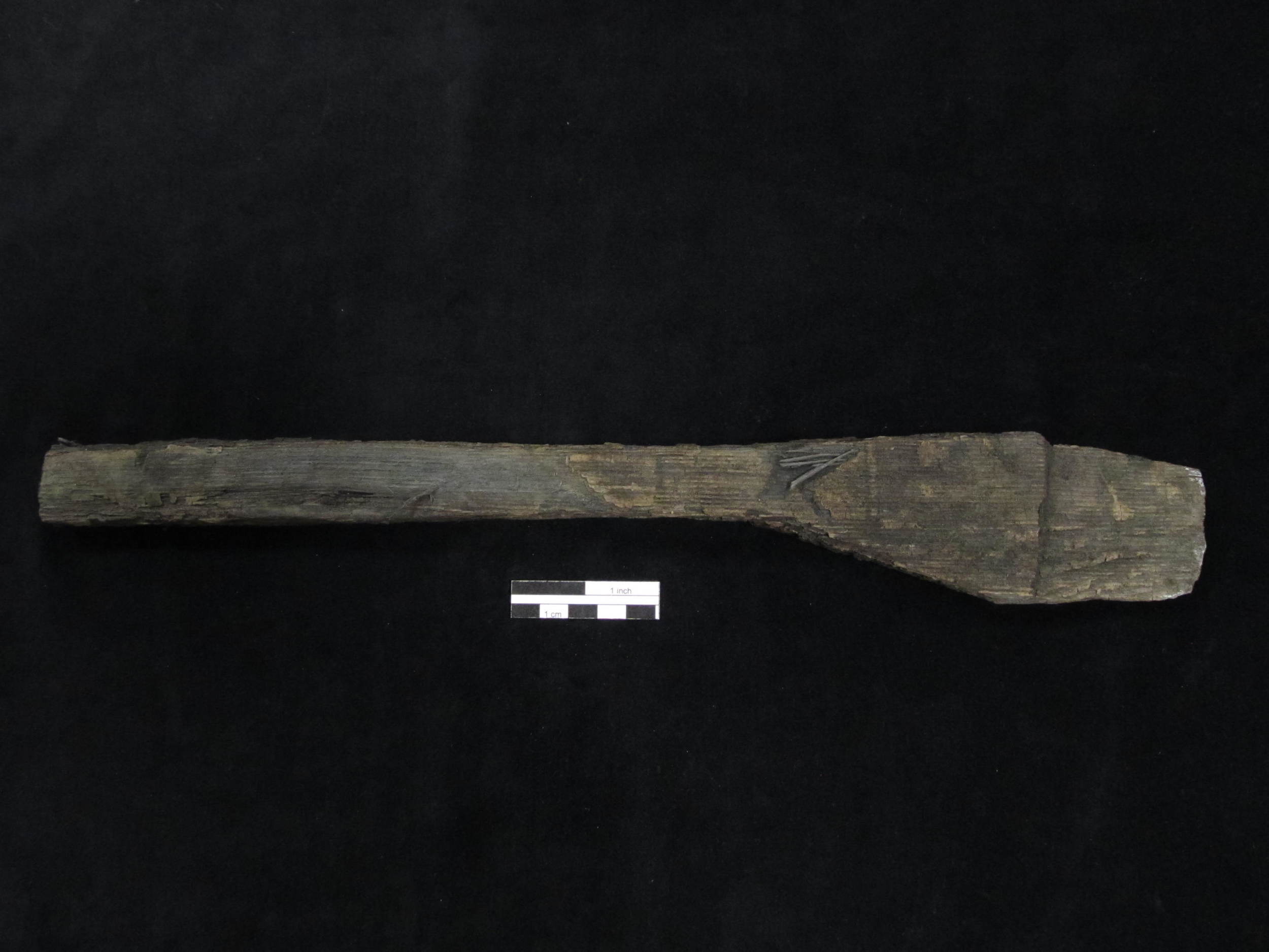  Hatchet handle fragment recovered from the Carlyle warehouse.    