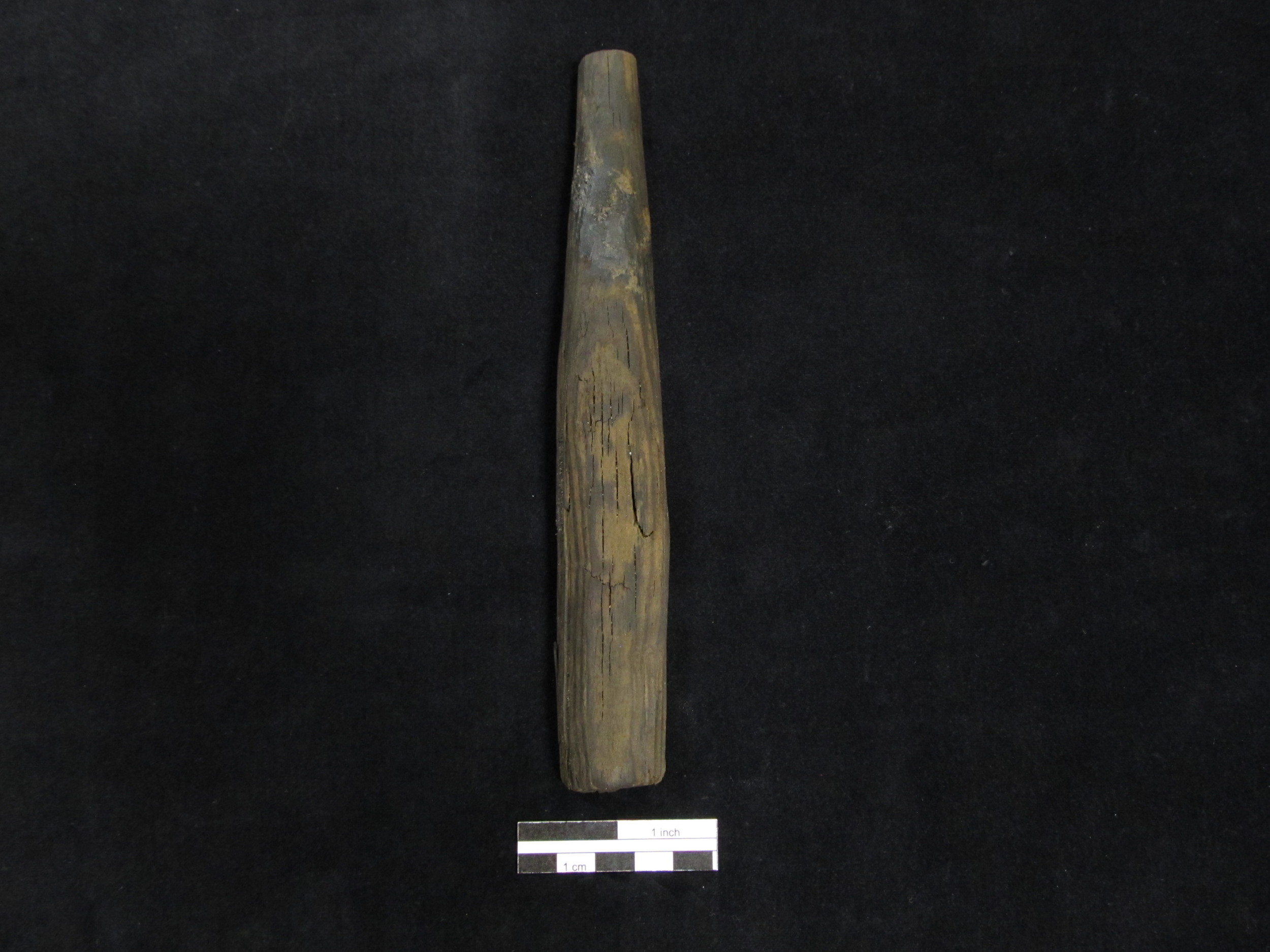  Wooden hammer handle fragment recovered from the Carlyle warehouse.    