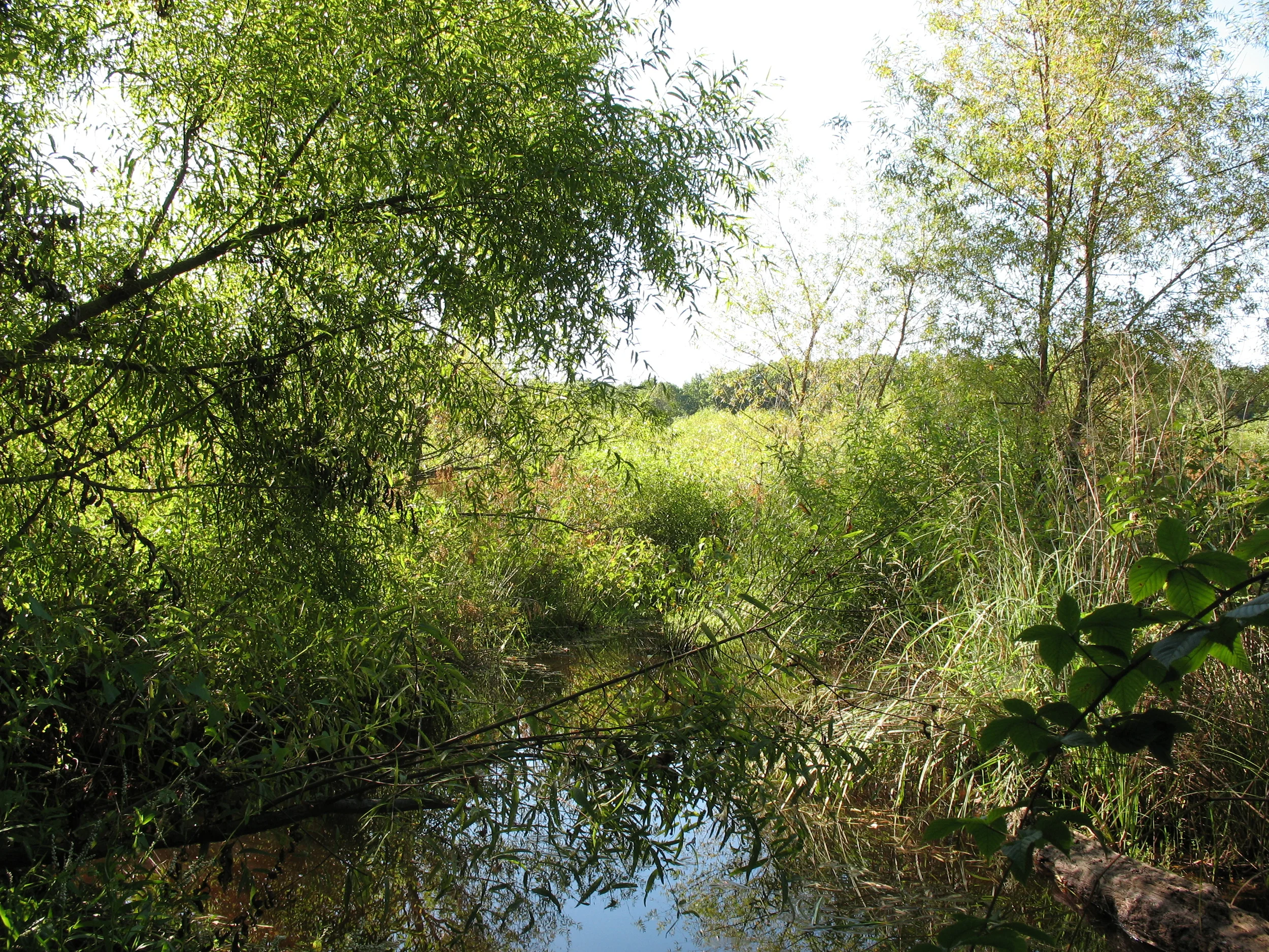 Julie J. Metz Wetlands Bank ‐ Prince William County, VA First Approved Wetland Mitigation Bank in Virginia (1994)