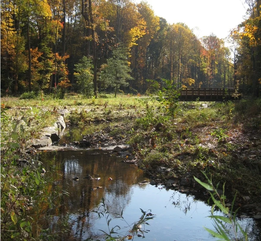 Wetland and Stream Restoration and Construction Oversight