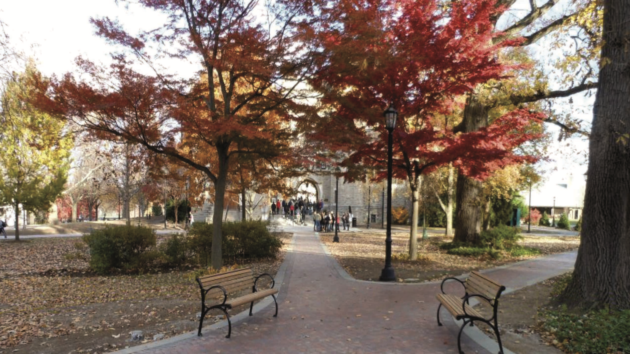 Villanova University campus-wide landscape renovation; tree preservation, and large tree transplanting services - Villanova, PA