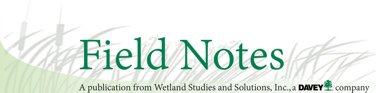 Field notes banner.png