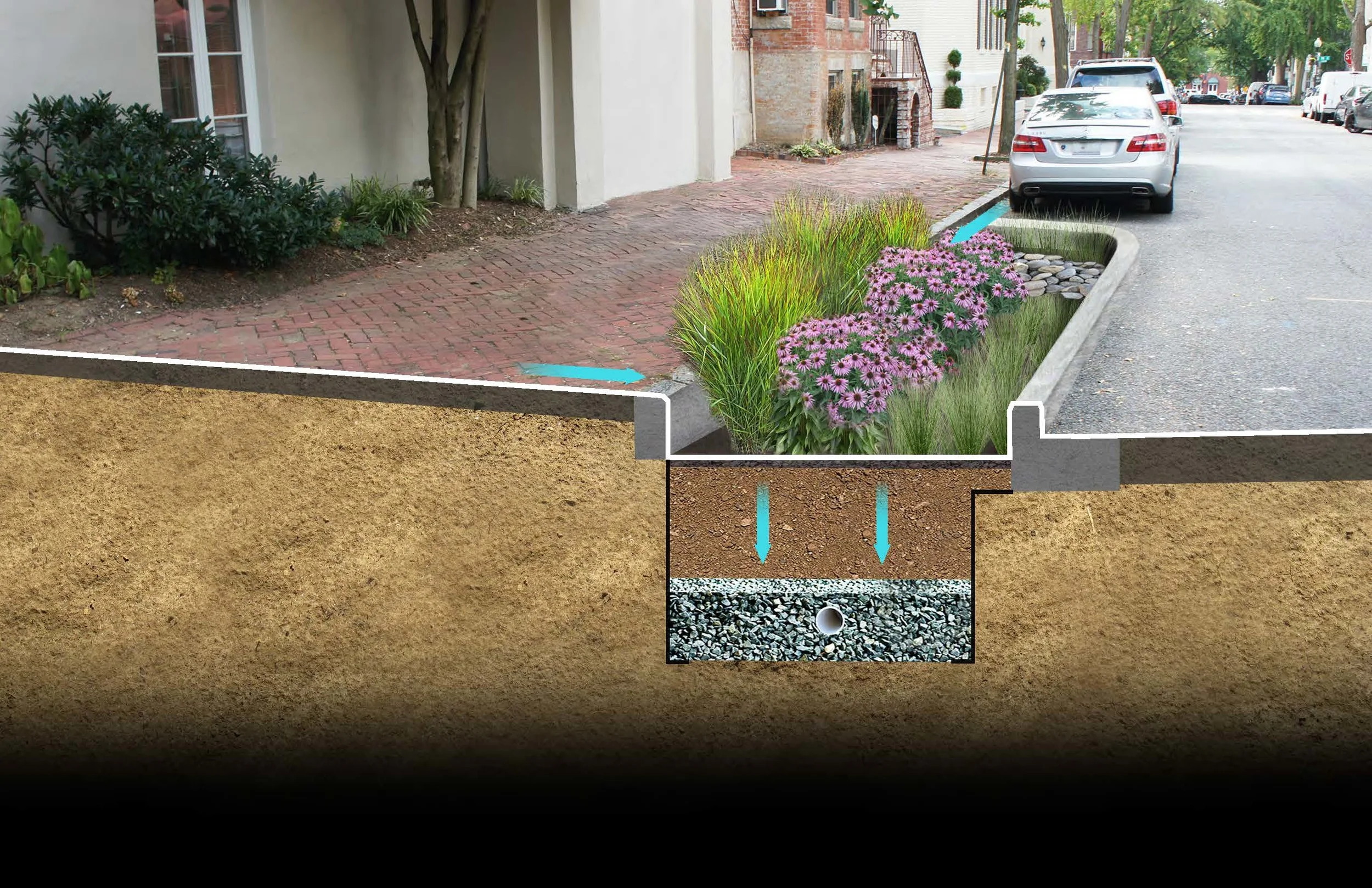 Curb Extension Bioretention - Section_rev.jpg