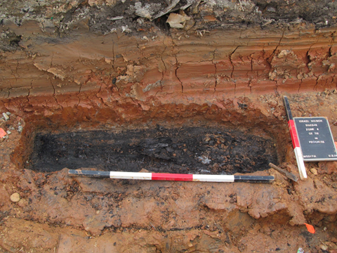 Intact burial discovered and later disinterred by WSSI archeologists.