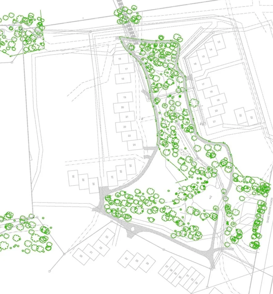 WSSI surveyed all 517 trees in the Hickory Cluster project area