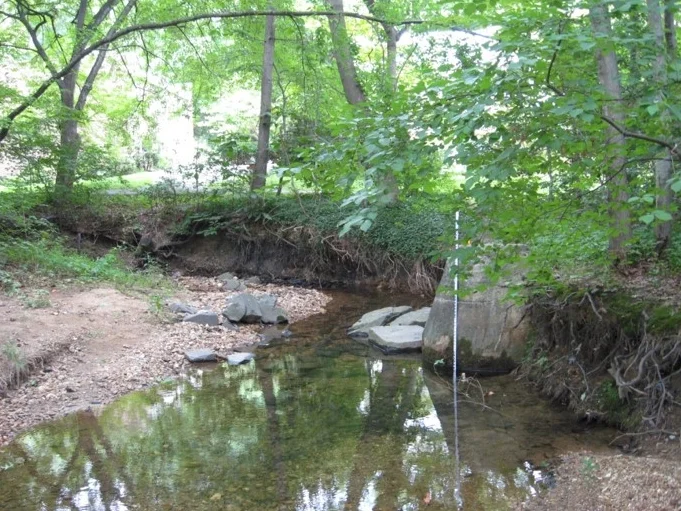 Stream erosion has exposed tree roots and manholes