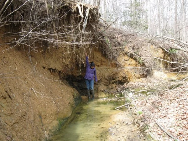 Vertical cut banks more than 12' high