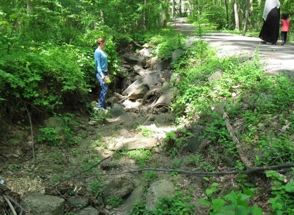 In the past, riprap was installed to stop the advancement of a headcut in this trail-side tributary