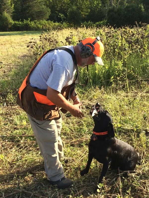 Mike Rolband takes a dove from his English lab, Boss.