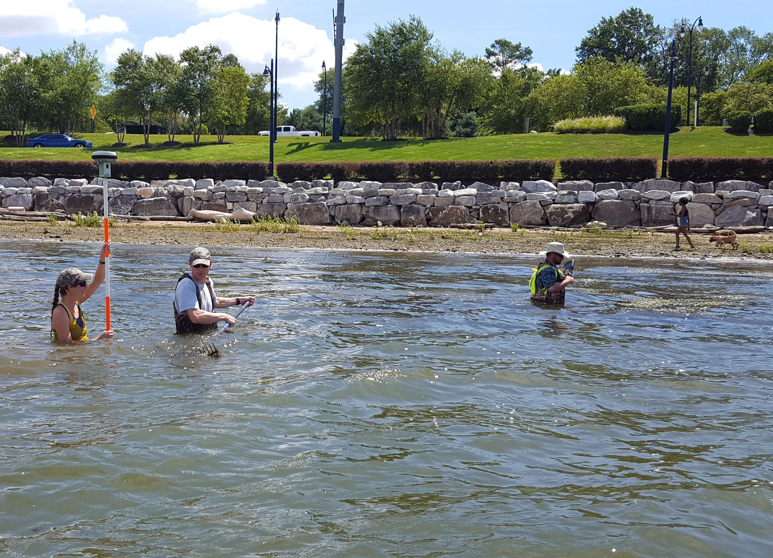 WSSI staff conducting survey in near shore shallow water.