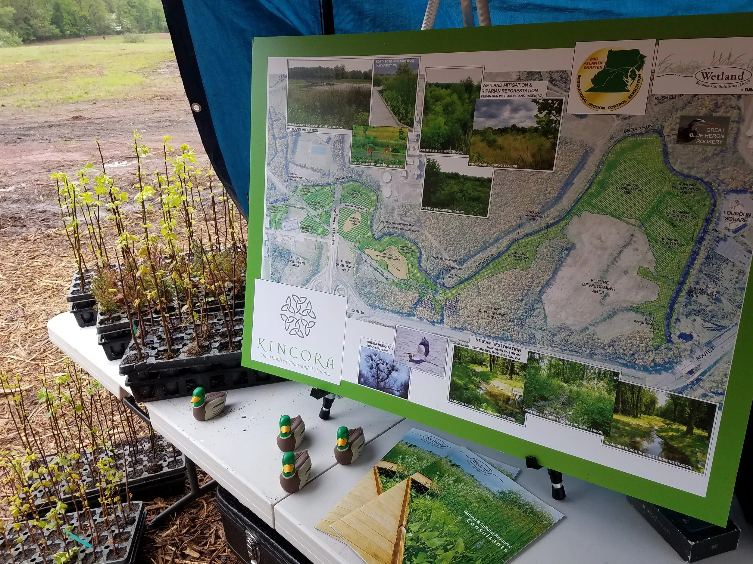 Seedlings and information at the WSSI/MAC-IECA table