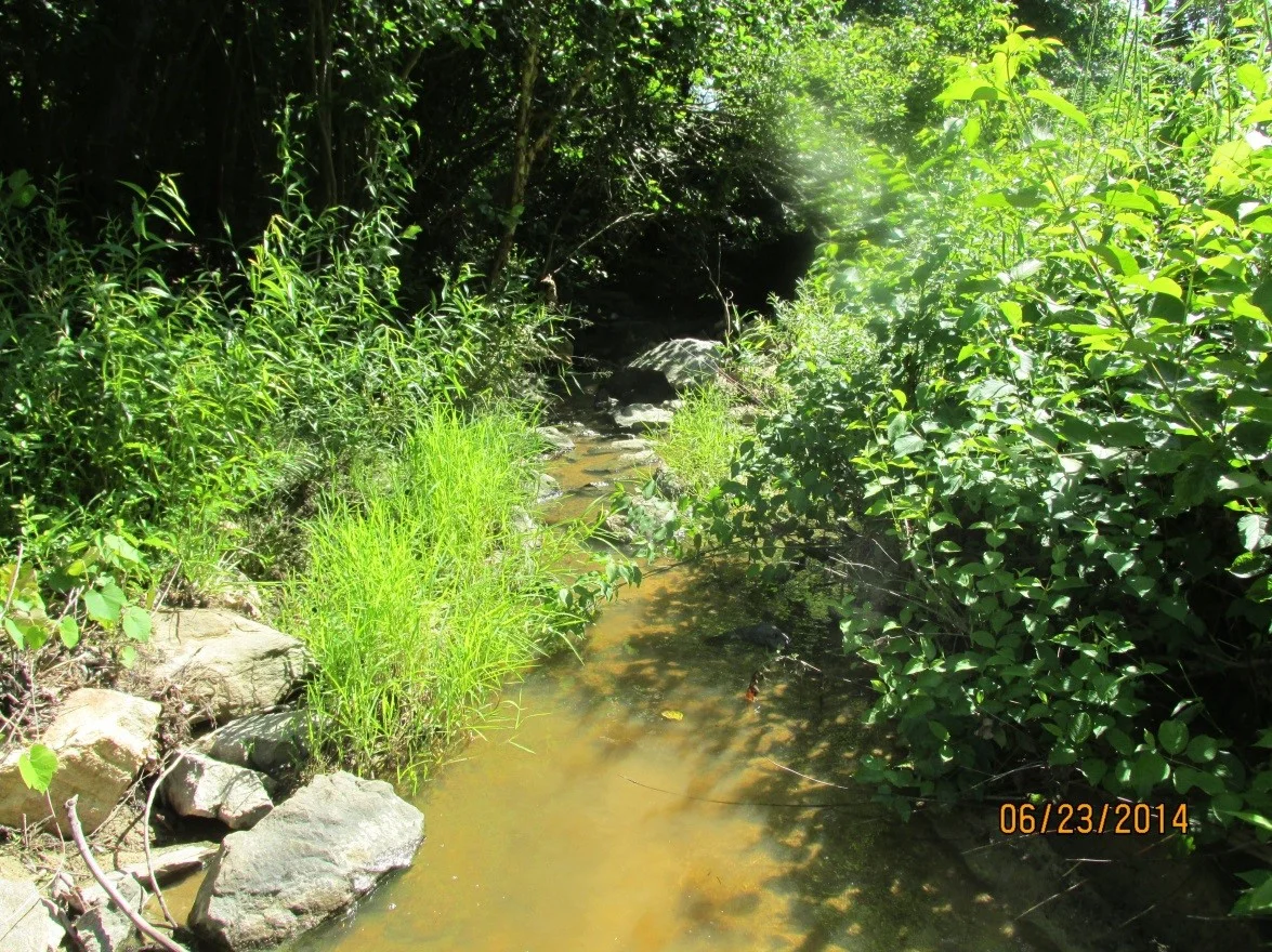 example of suitable mussel habitat