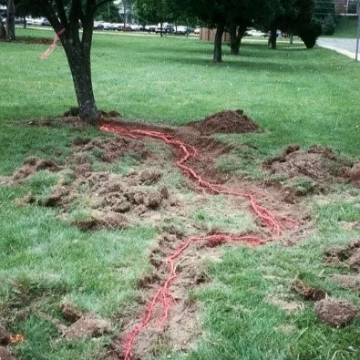 Uncover what you need to know about roots on Sept. 26
