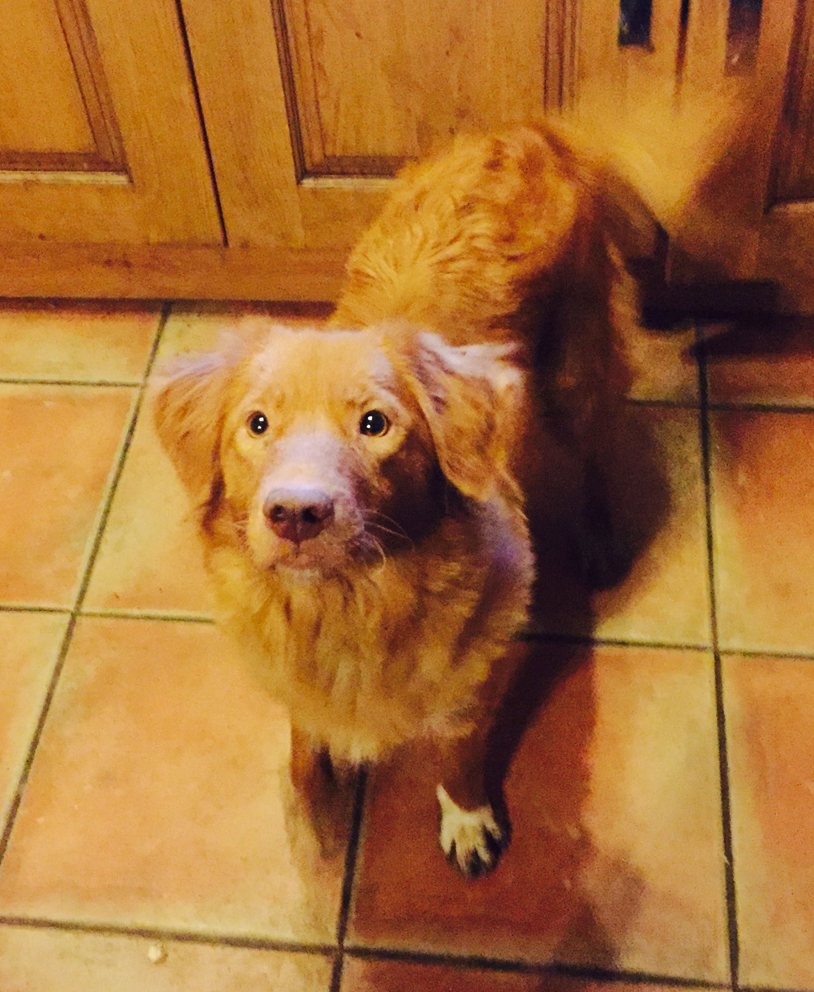 Our lovely Fen