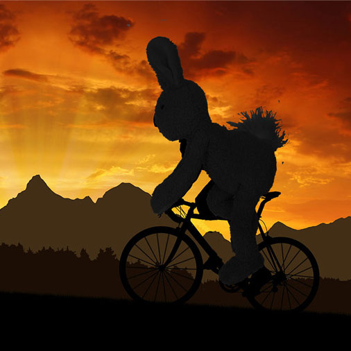 7.-Exercises-for-cyclists.jpg