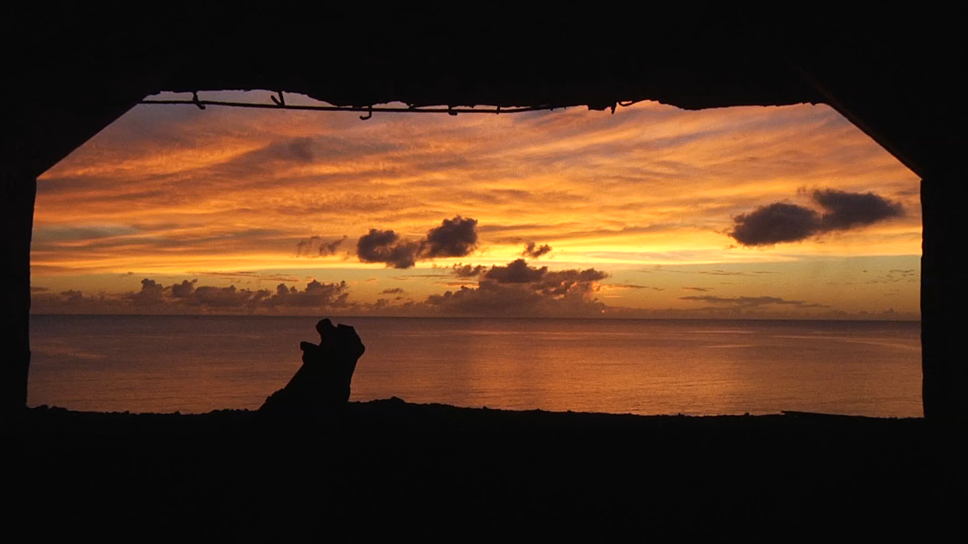 Bunkers near Kopepe Beach on Chichijima , Bonin Islands