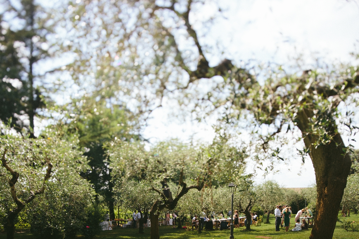 olive-trees-wedding-lunch.jpg