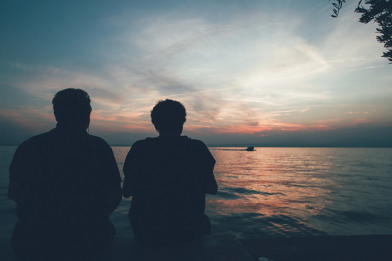 wedding-guests-sunset.jpg