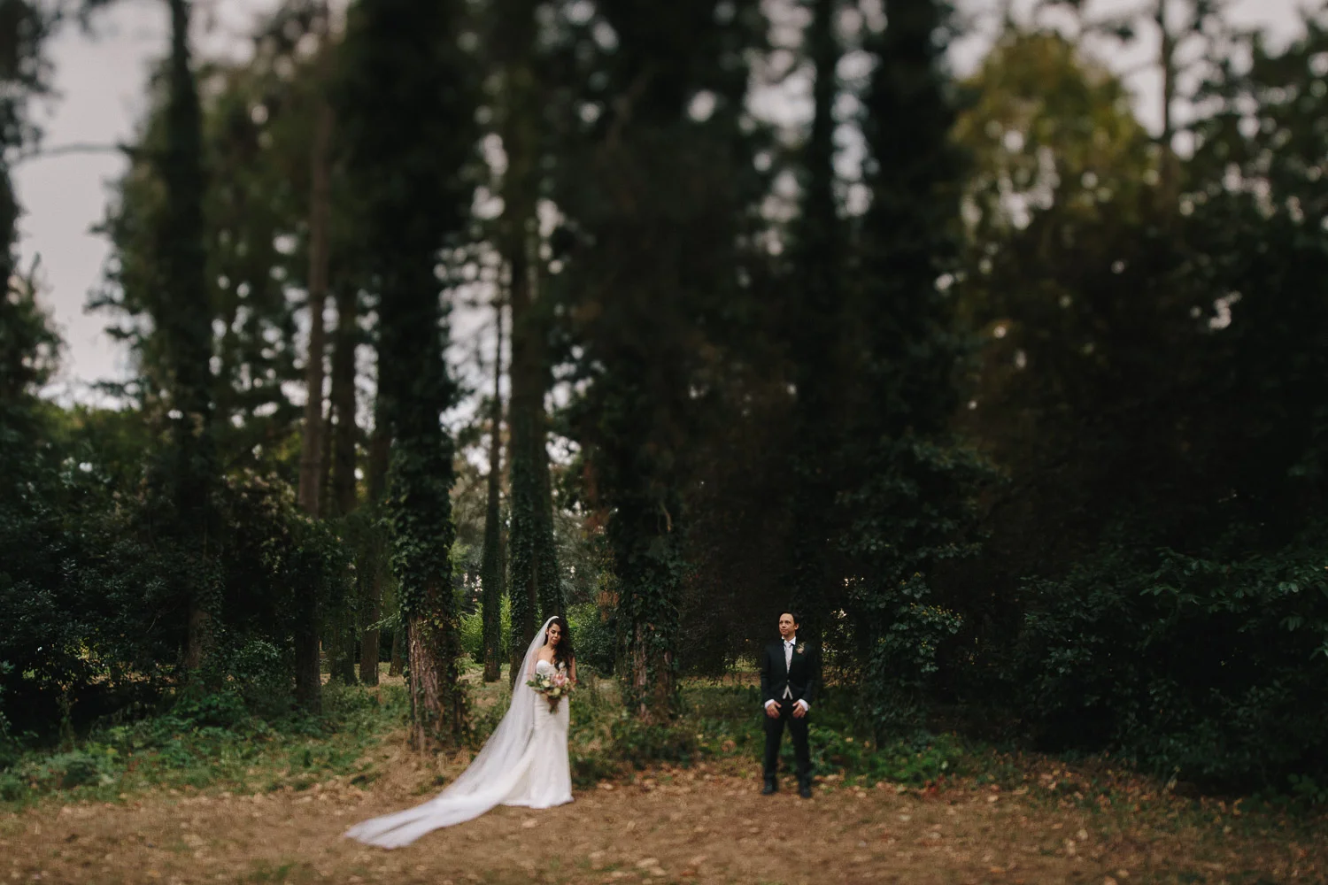 68-bride-groom-wood.jpg