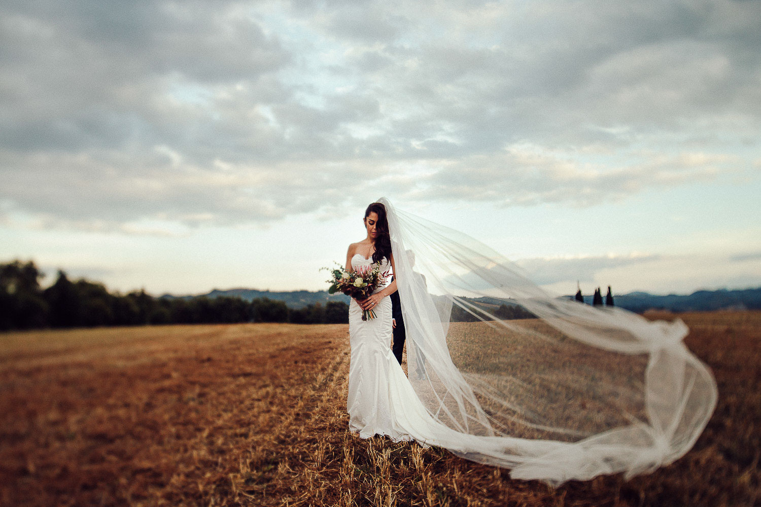 79-bride-veil-field.jpg