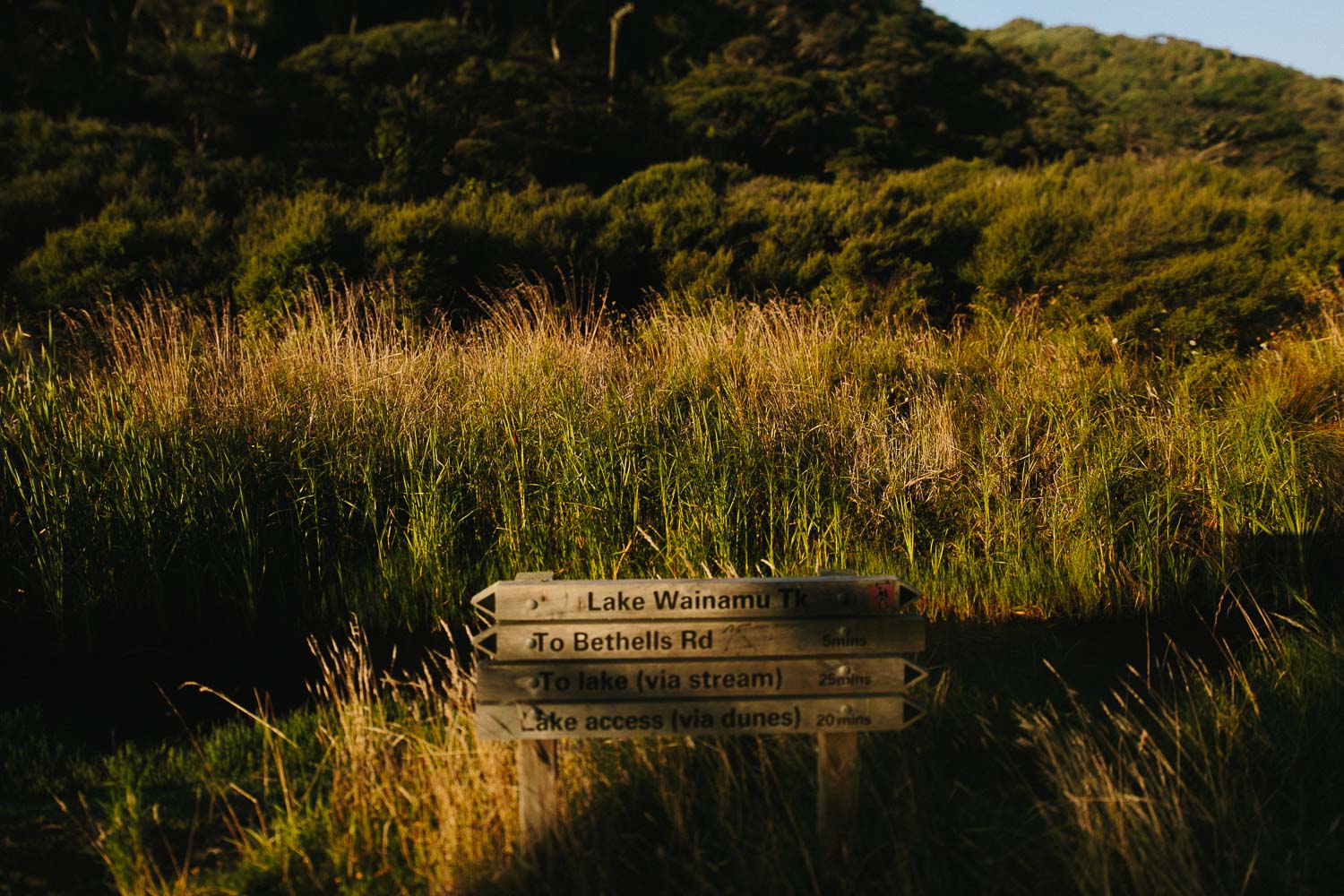 engagement bethells beach - new zealand (4).jpg