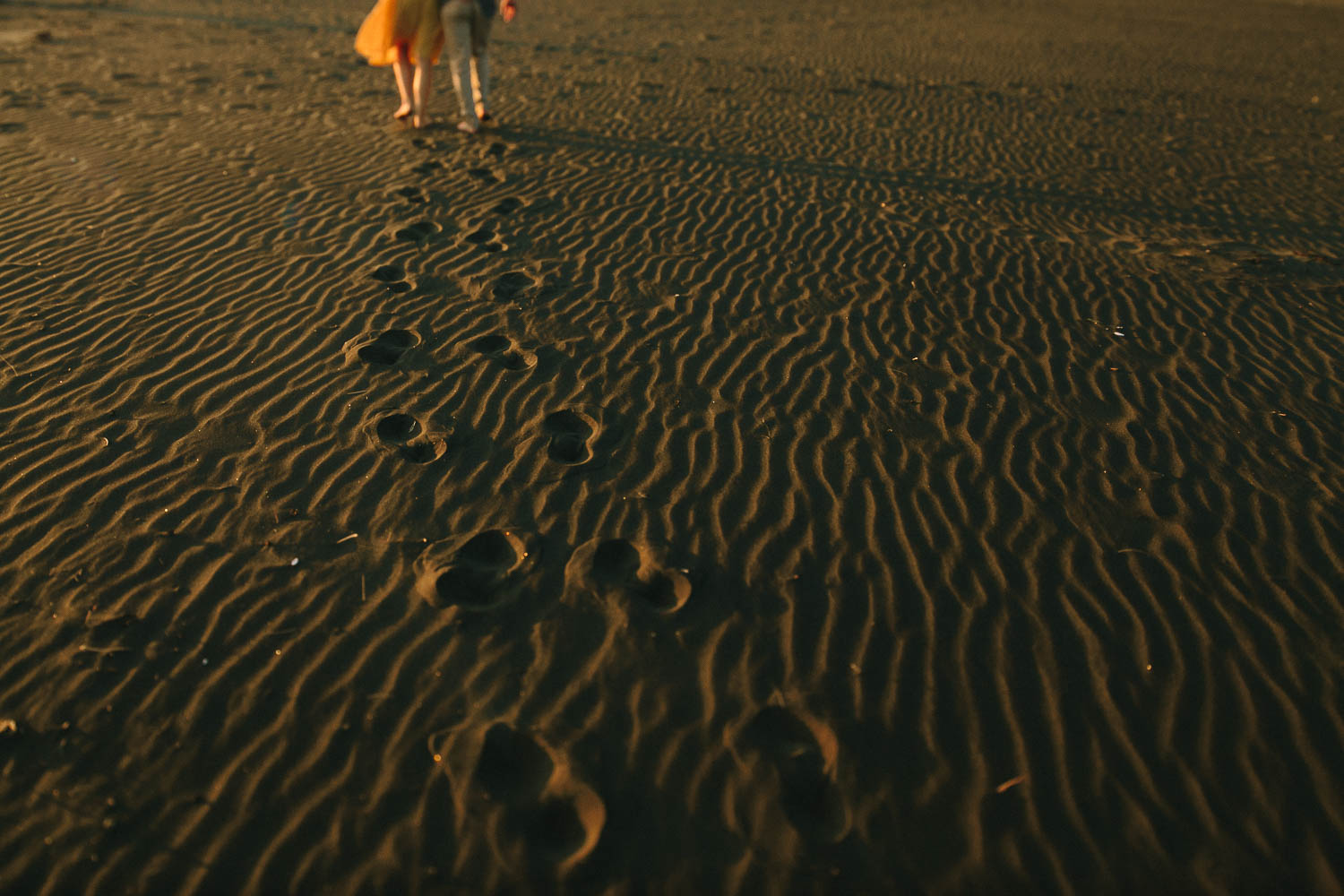 engagement bethells beach - new zealand (26).jpg