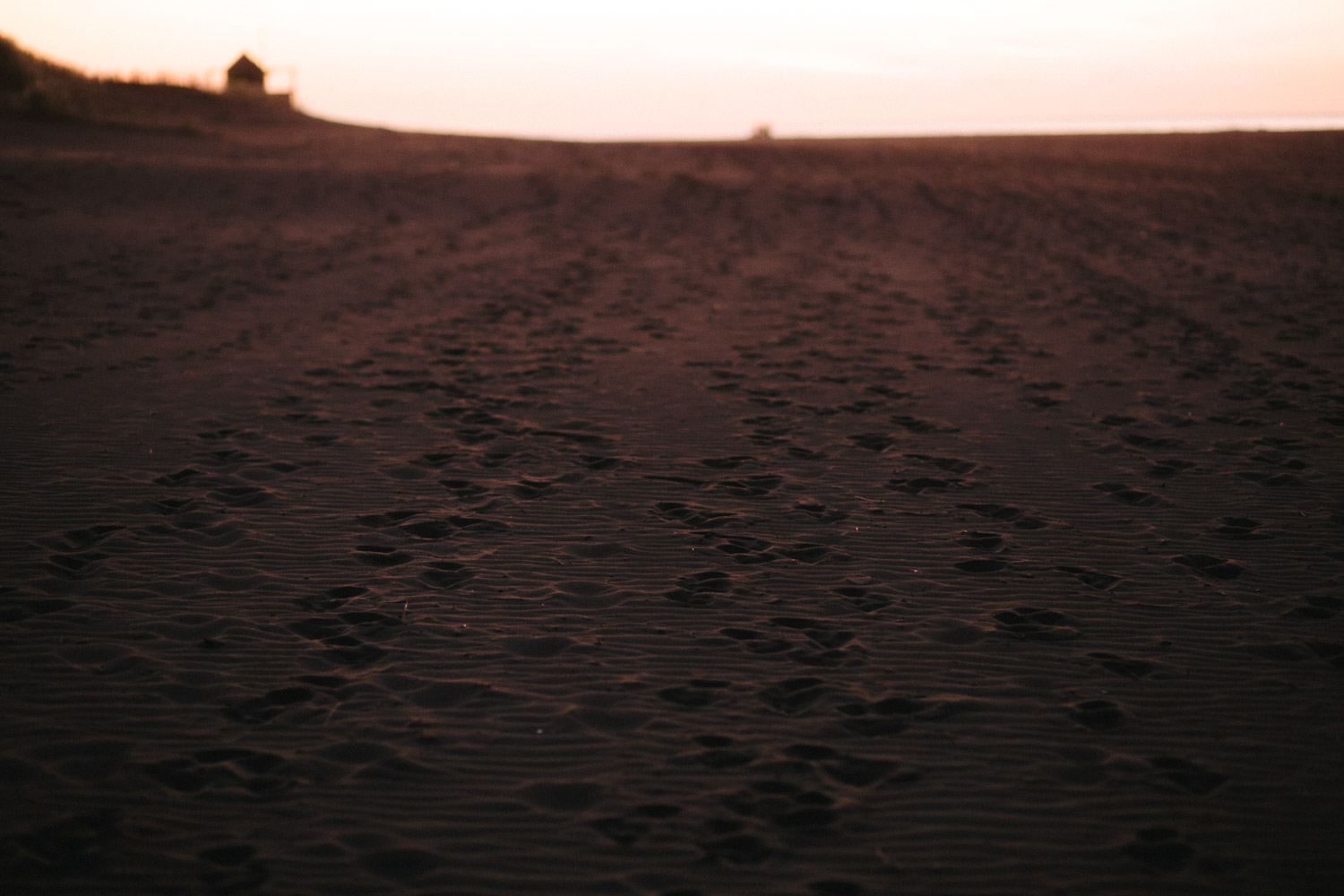 engagement bethells beach - new zealand (65).jpg